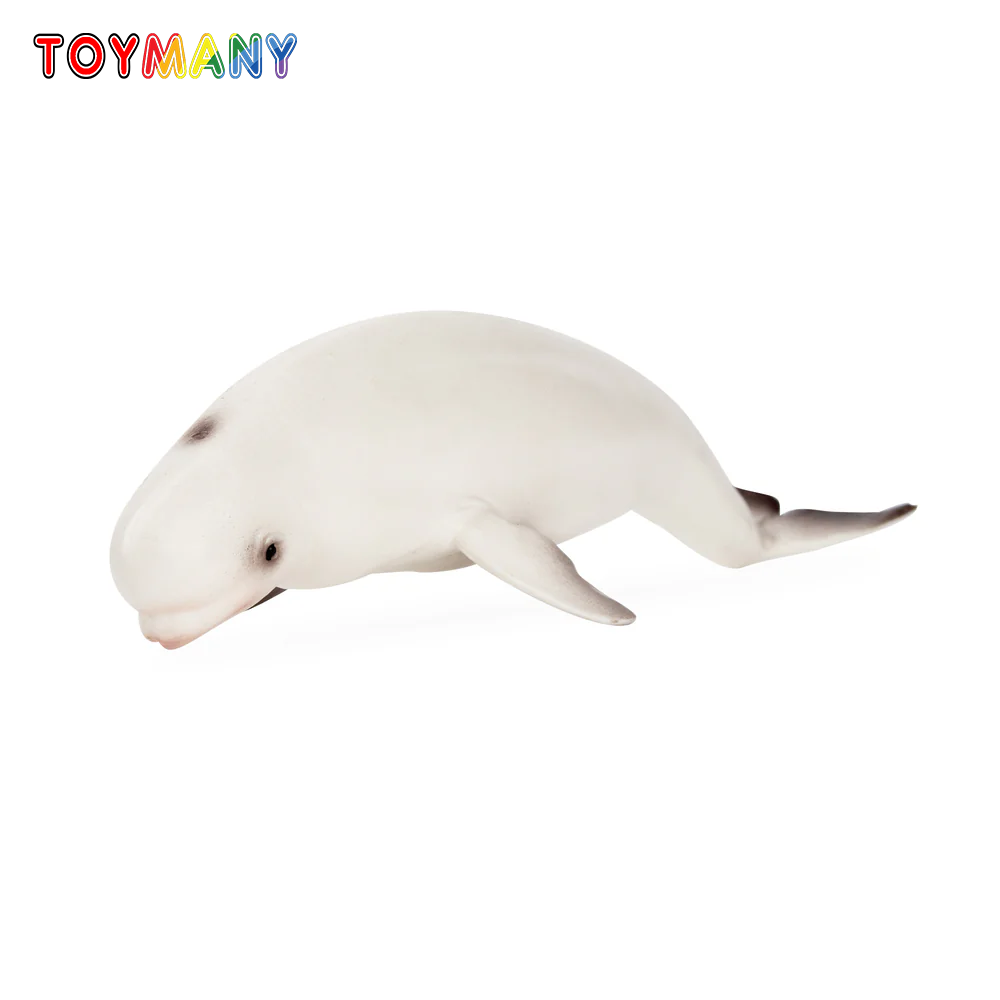 Marine Aquarium Decorations - Toymany Simulatie Beluga Walvis Oceaan Diermodel