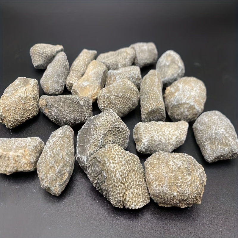Aquarium Marine Rock - 1 stuk natuurlijk koraalrots geschikt voor