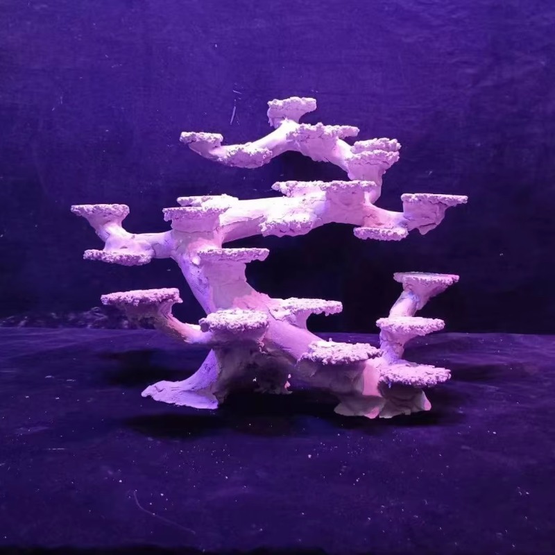 Aquascaping zoutwateraquaria d - Aquarium Marine Rock recensie en prijs