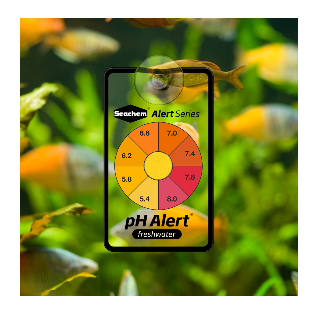 Seachem Water Testen Ph Alert  - Marine Aquarium Test Kit recensie en prijs