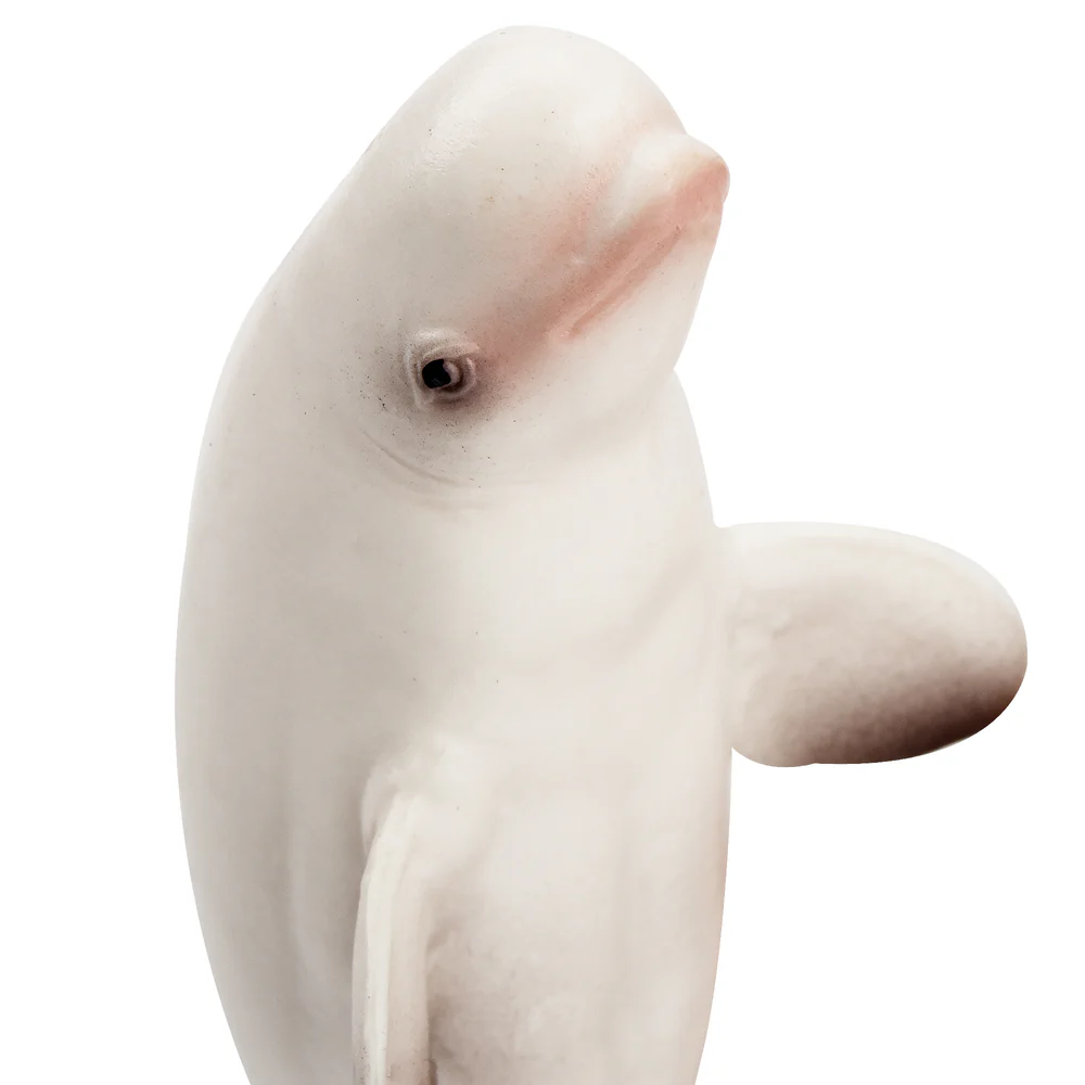 Toymany Simulatie Beluga Walvi - Marine Aquarium Decorations recensie en prijs