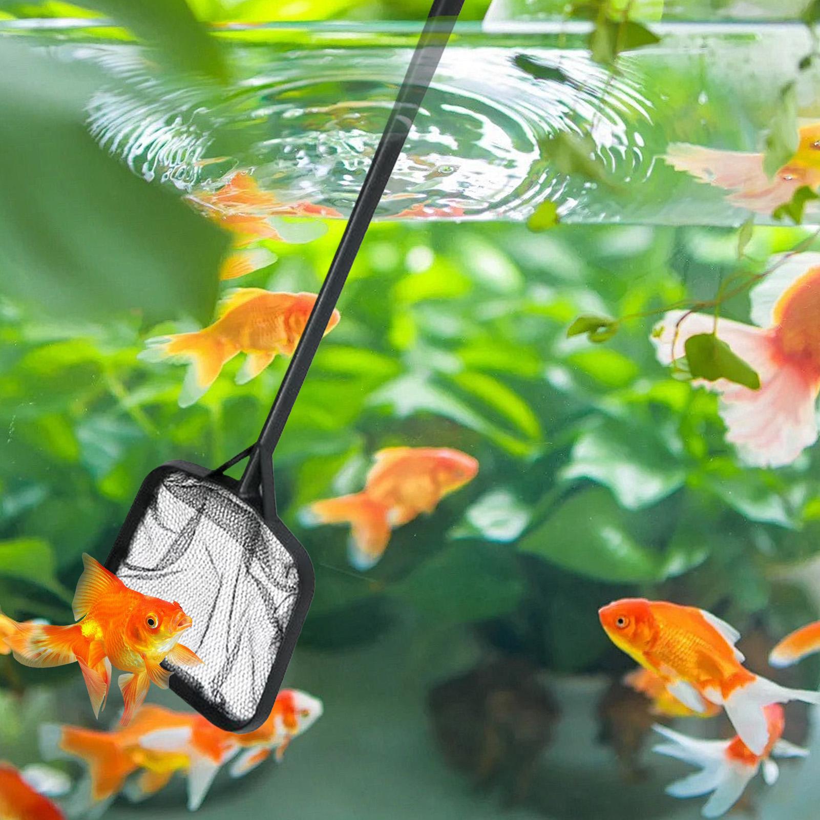 Zwembadnetten voor het reinige - Aquarium Marine recensie en prijs