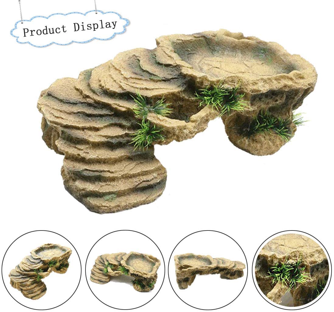 Schildpad Koesteren Platform S - Aquarium Marine Rock recensie en prijs