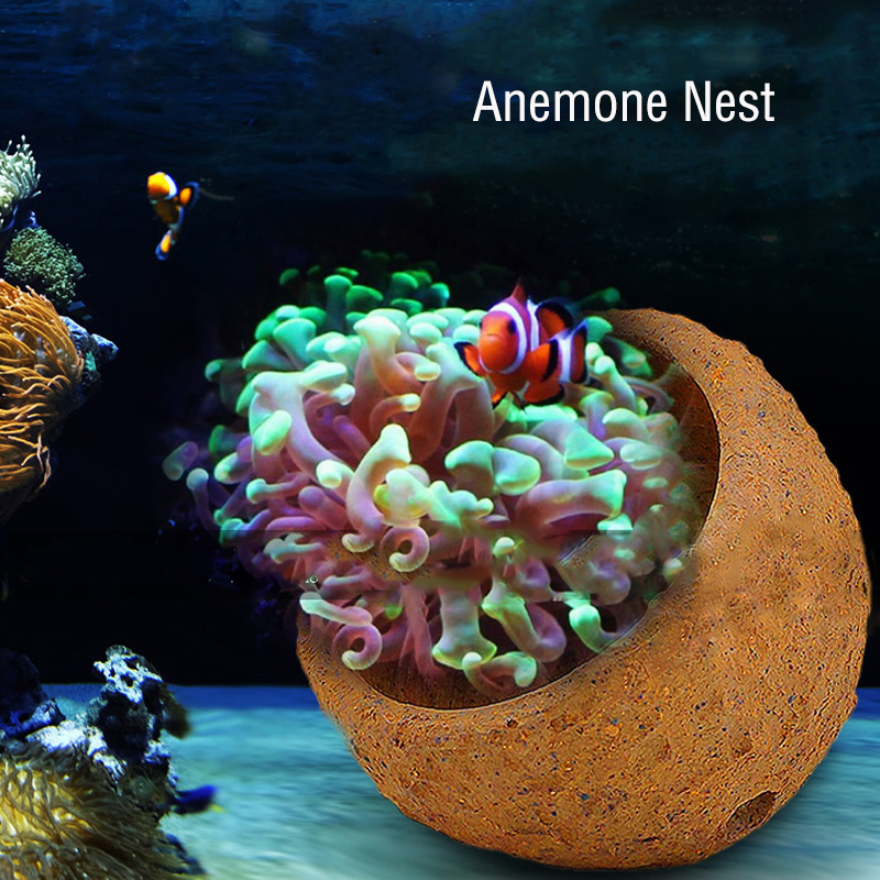 Anemonnest voorkomt weglopen K - Marine Aquarium Live Sand recensie en prijs