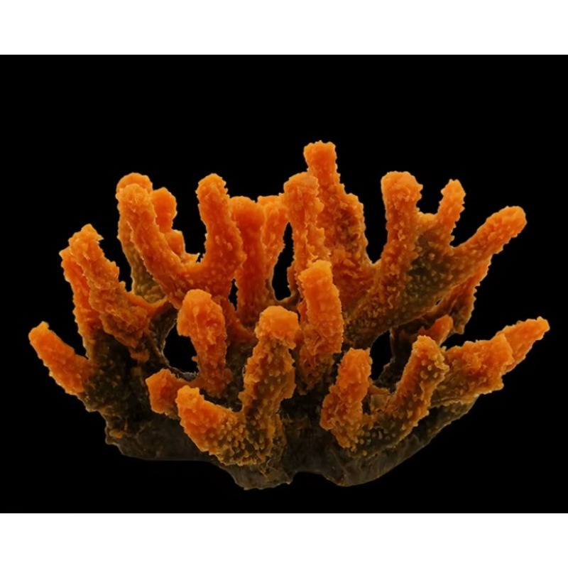 Kunstmatige hars koraalrif aqu - Aquarium Marine Rock recensie en prijs
