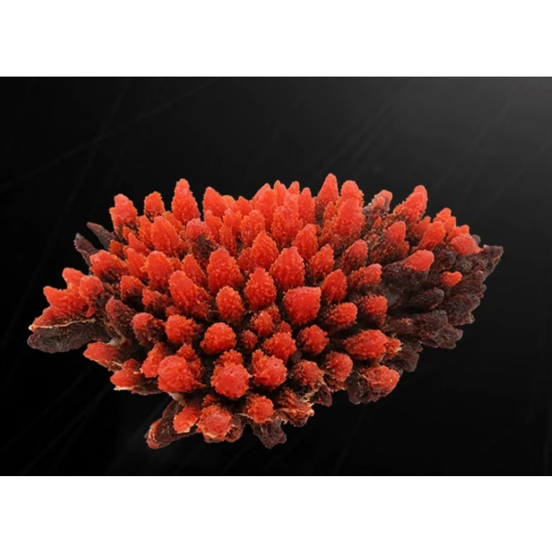 Kunstmatige hars koraalrif aqu - Aquarium Marine Rock recensie en prijs