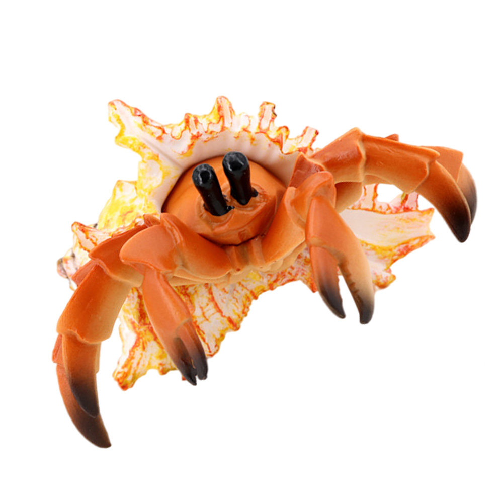 Simulatie Heremietkreeft Kunst - Marine Aquarium Europe recensie en prijs
