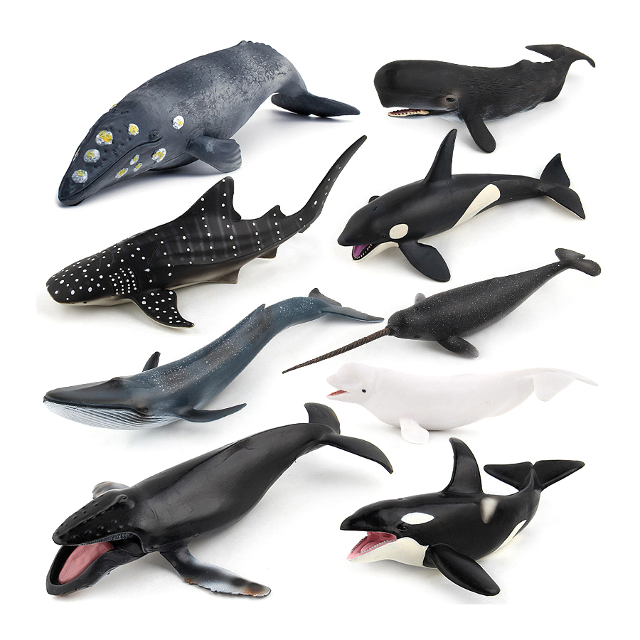 Realistische Bultrugwalvis Spe - Marine Aquarium Decorations recensie en prijs