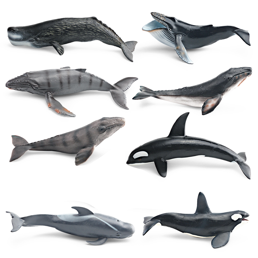Realistische Bultrugwalvis Spe - Marine Aquarium Decorations recensie en prijs