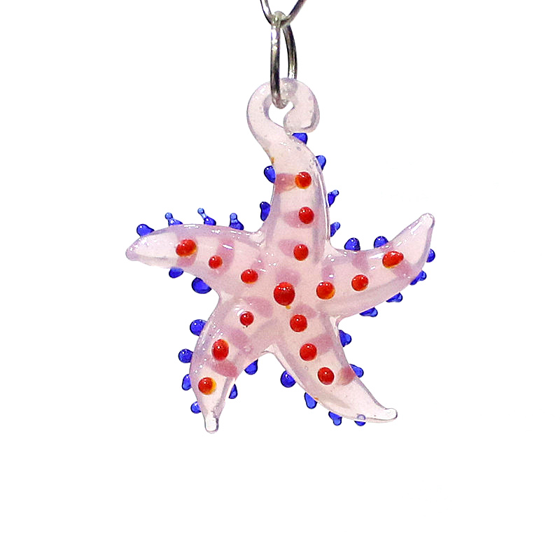 Schattige zeester charme minia - Aquarium Marine recensie en prijs