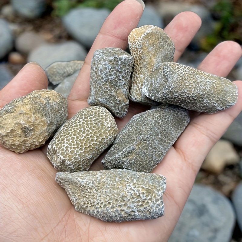 1 stuk natuurlijk koraalrots g - Aquarium Marine Rock recensie en prijs