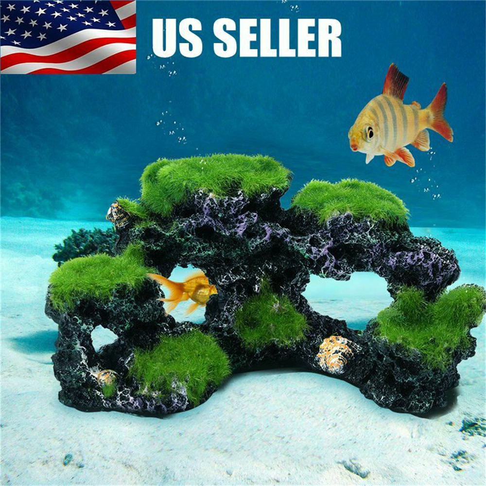 Hars Groene Rotstuin Aquarium  - Marine Aquarium Live Sand recensie en prijs